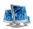 Shared Web Hosting